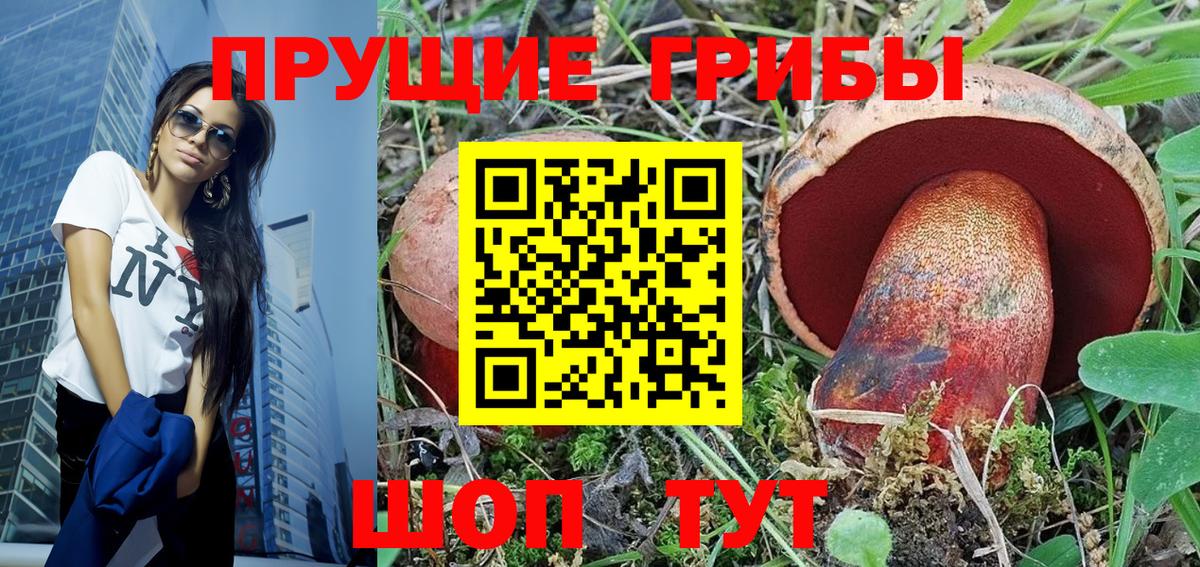 Заречный  Галлюциногенные грибы MAGIC MUSHROOMS  Вход с VPN  Галлюциногенные грибы Psilocybe 